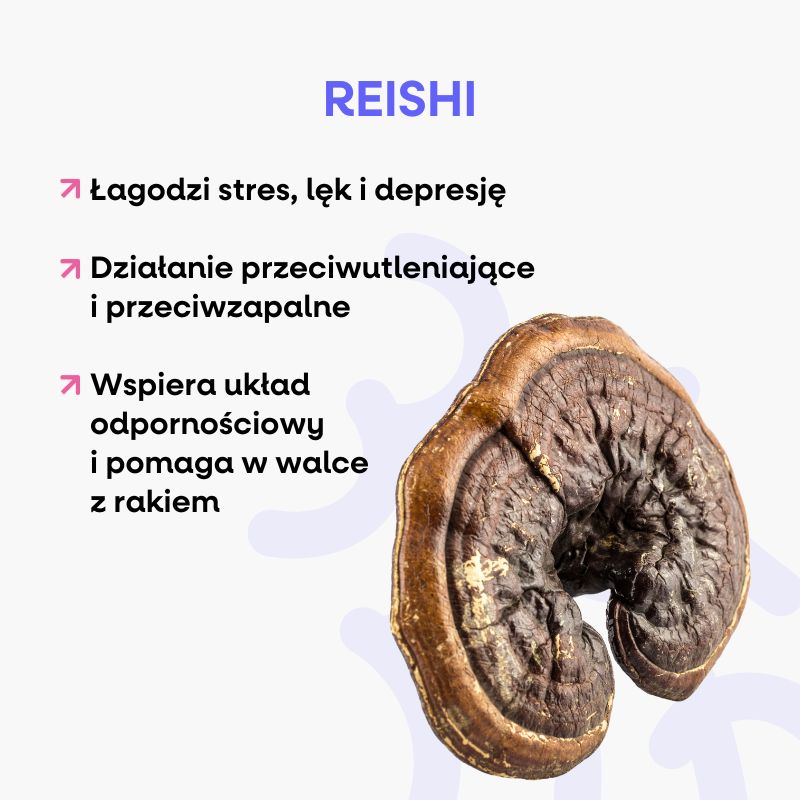 Mediciální houby (6)